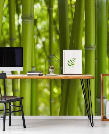 Lähikuva Bambu Bamboo Forest Taustakuva