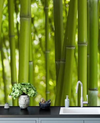 Lähikuva Bambu Bamboo Forest Taustakuva