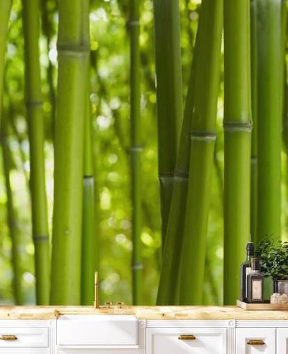 Close Up of Bamboo in Bamboo Forest Wallpaper