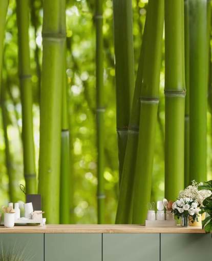 Close Up of Bamboo in Bamboo Forest Wallpaper Close Up of Bamboo in Bamboo Forest Wallpaper