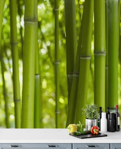 Close Up of Bamboo in Bamboo Forest Wallpaper