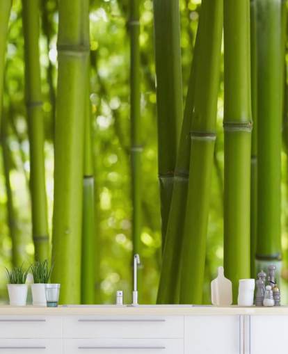 Lähikuva Bambu Bamboo Forest Taustakuva