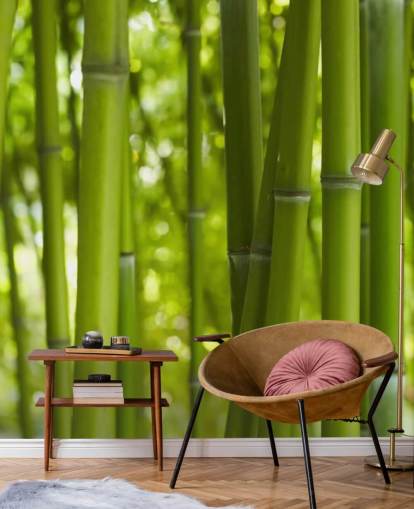 Close Up of Bamboo in Bamboo Forest Wallpaper Close Up of Bamboo in Bamboo Forest Wallpaper