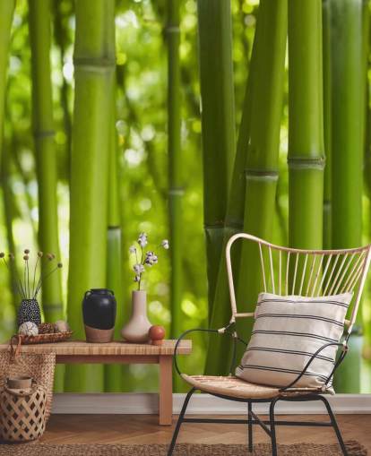 Primer plano del papel pintado de bambú en el bosque de bambú