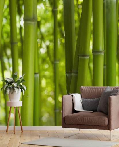 Close Up of Bamboo in Bamboo Forest Wallpaper
