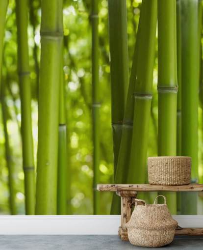 Close Up of Bamboo in Bamboo Forest Wallpaper