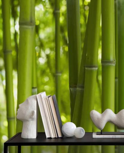 Close Up of Bamboo in Bamboo Forest Wallpaper