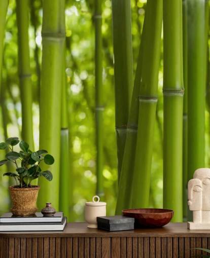 Close Up of Bamboo in Bamboo Forest Wallpaper Close Up of Bamboo in Bamboo Forest Wallpaper