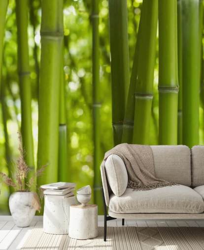 Close Up of Bamboo in Bamboo Forest Wallpaper Close Up of Bamboo in Bamboo Forest Wallpaper