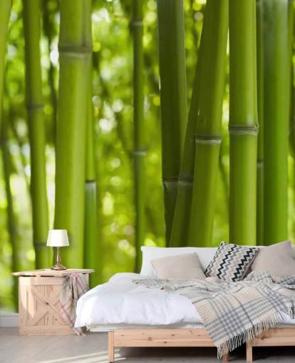 Nära upp av bambu i bambu skog tapeter