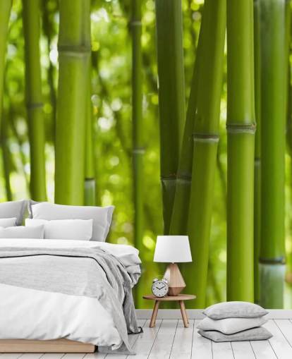 Lähikuva Bambu Bamboo Forest Taustakuva