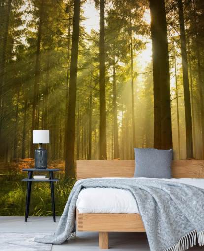 carta da parati murale personalizzata verde e marrone chiamata Beautiful Forest per camere da letto o uffici 