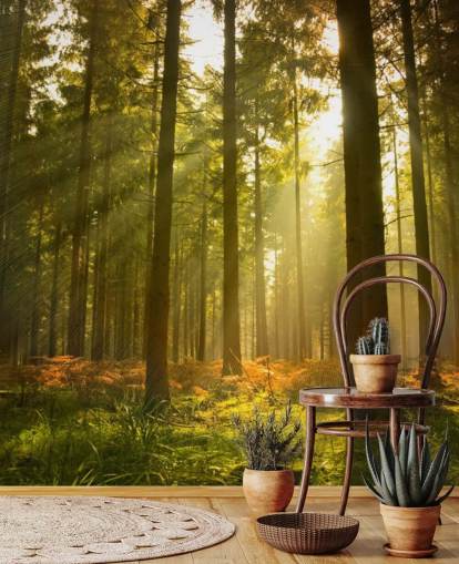 papier peint mural de forêt personnalisé vert et marron appelé Beautiful Forest pour les chambres ou les bureaux 