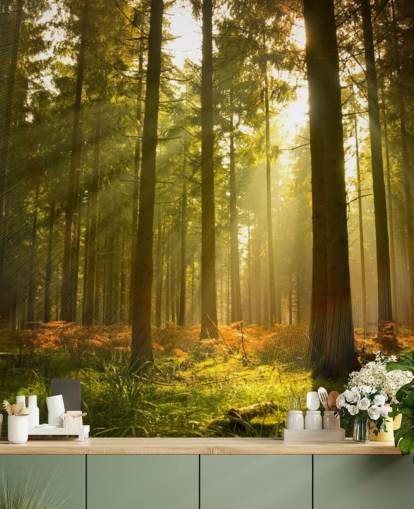 mural de papel de parede florestal personalizado verde e marrom chamado Beautiful Forest para quartos ou escritórios 