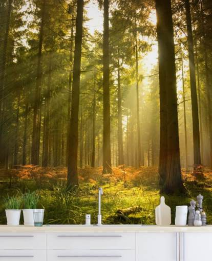 green and brown custom forest wallpaper mural called Beautiful Forest for bedrooms or offices 