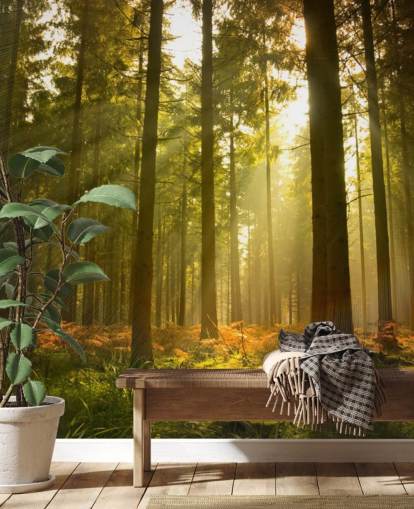 papier peint mural de forêt personnalisé vert et marron appelé Beautiful Forest pour les chambres ou les bureaux 