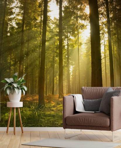 Grünes und braunes individuelles Waldtapeten-Wandbild namens Beautiful Forest für Schlafzimmer oder Büros 