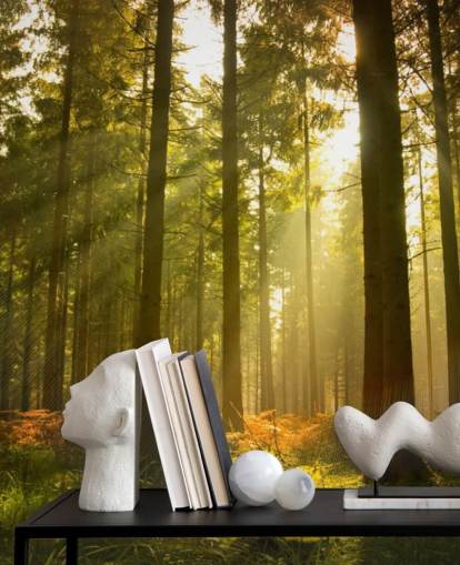 green and brown custom forest wallpaper mural called Beautiful Forest for bedrooms or offices green and brown custom forest wallpaper mural called Beautiful Forest for bedrooms or offices