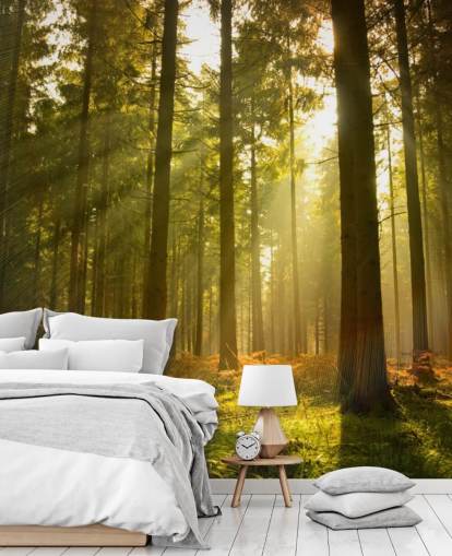 green and brown custom forest wallpaper mural called Beautiful Forest for bedrooms or offices 
