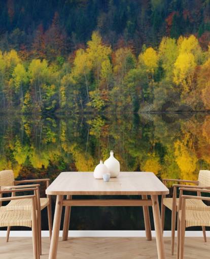 árboles otoñales naranjas junto a un lago que refleja su imagen fondo de pantalla
