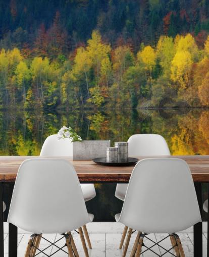 orange autumnal trees by a lake reflecting their image wallpaper