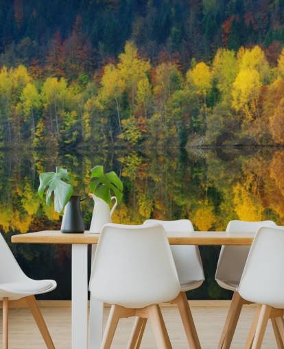orange autumnal trees by a lake reflecting their image wallpaper orange autumnal trees by a lake reflecting their image wallpaper