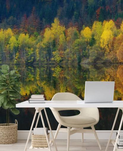 orange autumnal trees by a lake reflecting their image wallpaper