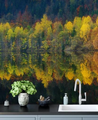 arbres automnaux orange au bord d'un lac reflétant leur fond d'écran d'image