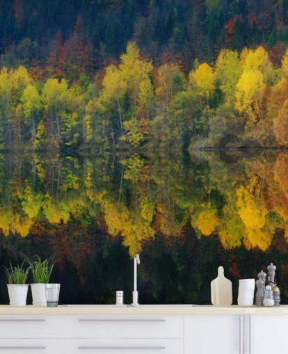 oranje herfstbomen bij een meer die hun beeldbehang weerspiegelen
