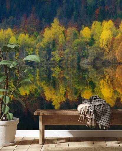 alberi autunnali arancioni da un lago che riflette la loro carta da parati immagine