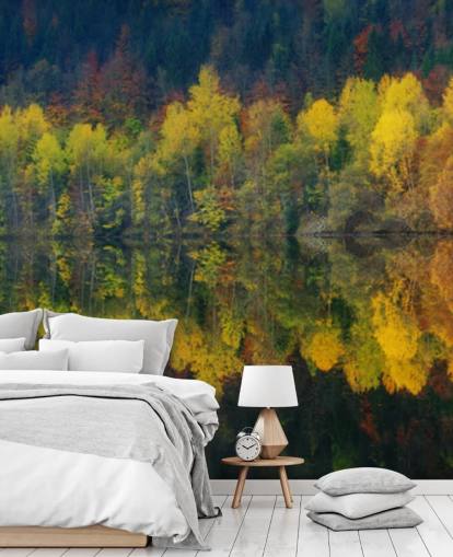 arbres automnaux orange au bord d'un lac reflétant leur fond d'écran d'image