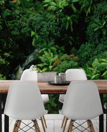 sky view of hawaii rainforest wallpaperF