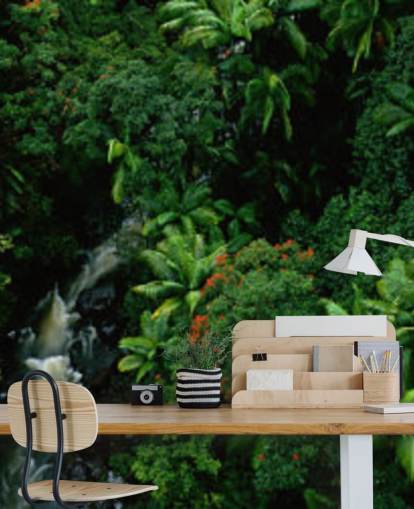 taivas näkymä Havaijin sademetsä tapettiF