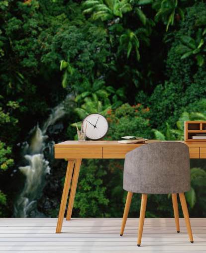 himmelsvy över hawaii regnskog tapeterf