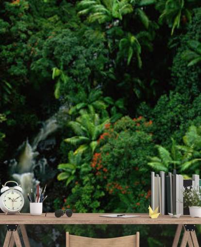 vue du ciel de la forêt tropicale hawaïenne fond d'écran