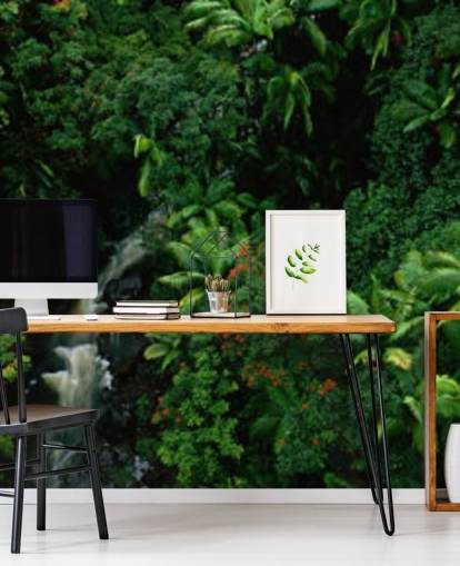 sky view of hawaii rainforest wallpaperF