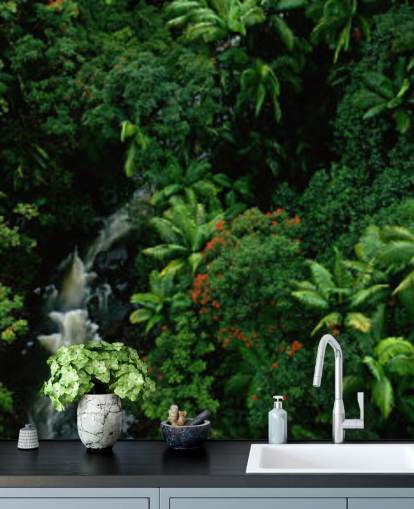 vue du ciel de la forêt tropicale hawaïenne fond d'écran