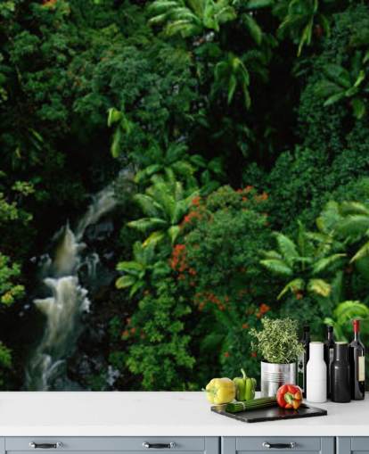 hemelzicht op hawaii regenwoud wallpaperF