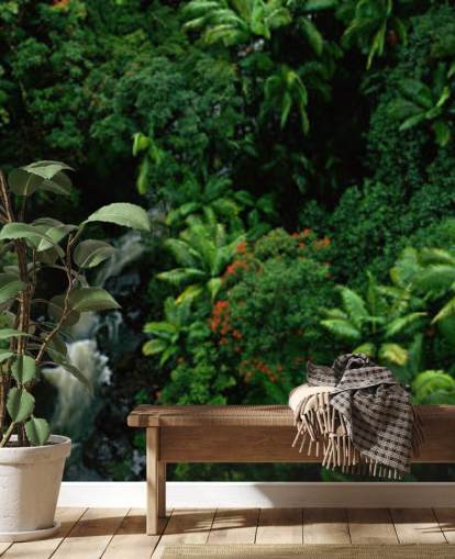 himmel udsigt over Hawaii regnskov tapetF