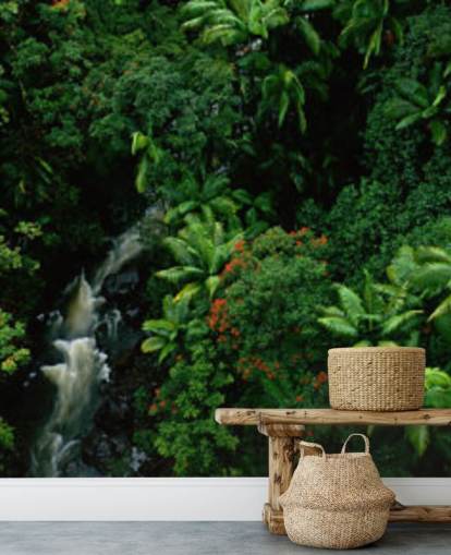 hemelzicht op hawaii regenwoud wallpaperF