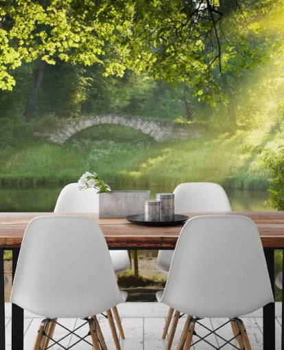 Park Bench and Bridge Wall Mural