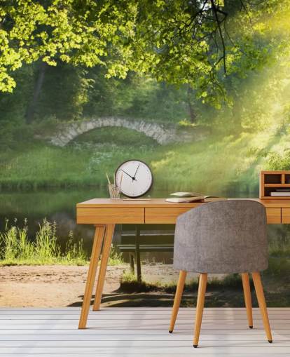 Park Bench and Bridge Wall Mural