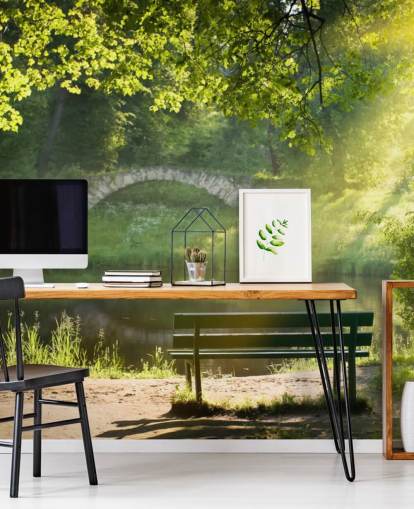 Park Bench and Bridge Wall Mural