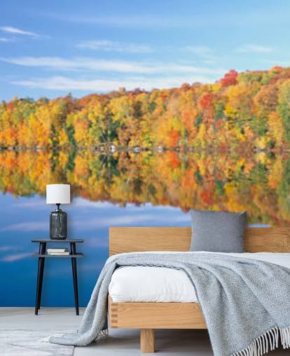 orange and yellow trees by lake wallpaper