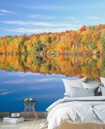 orange and yellow trees by lake wallpaper orange and yellow trees by lake wallpaper