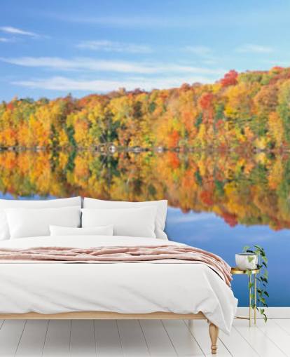 orange and yellow trees by lake wallpaper orange and yellow trees by lake wallpaper