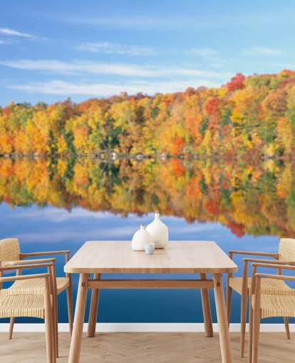 orange and yellow trees by lake wallpaper