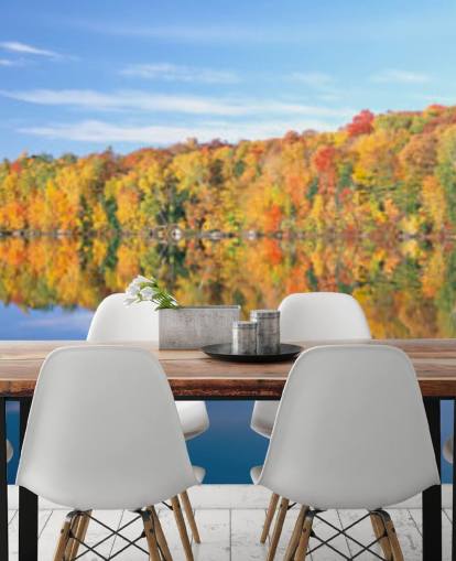 orange and yellow trees by lake wallpaper