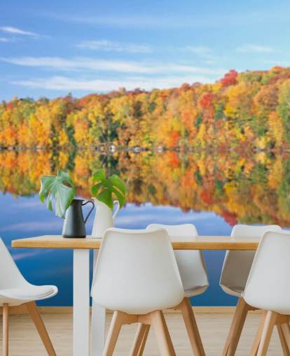 oransje og gule trær ved innsjøen tapet oransje og gule trær ved innsjøen tapet