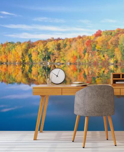 orange and yellow trees by lake wallpaper